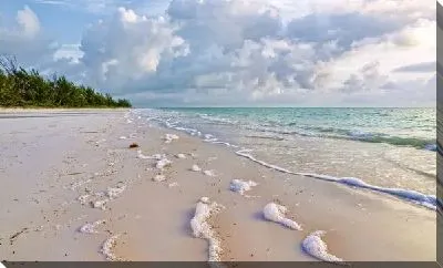 Постер Пляж (Beach) №18