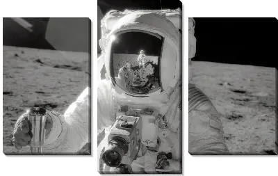 Модульная картина Космонавт (Astronaut)