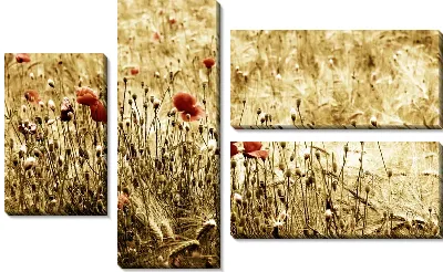 Поле (Field) №12