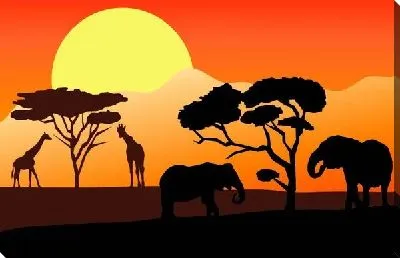 Африка (Africa) №5