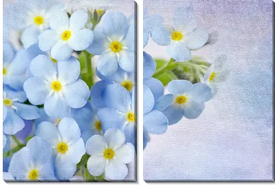 Модульная картина Цветы (Flowers) №50