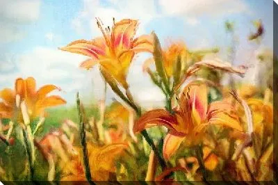 Постер Цветы (Flowers) №51