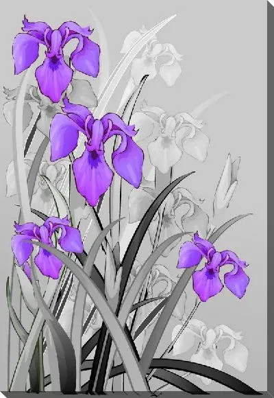 Постер Цветы (Flowers) №52