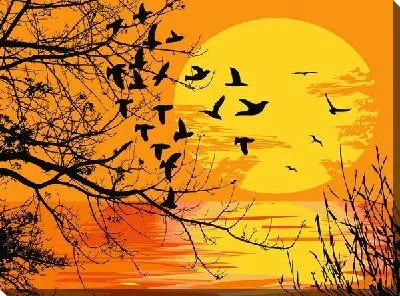 Постер Закат (Sunset) №15