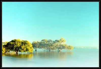 Картина Озеро (Lake) №31