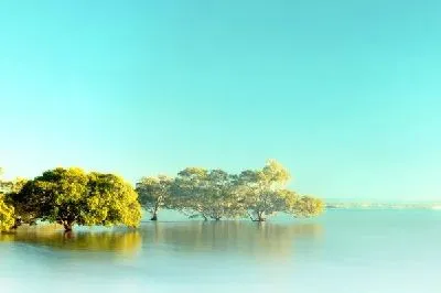 Плакат Озеро (Lake) №31