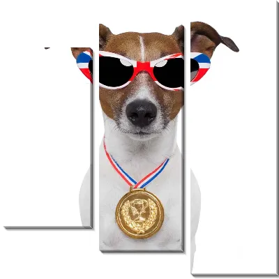 Модульная картина Собака (Dog) №12