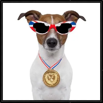 Картина Собака (Dog) №12