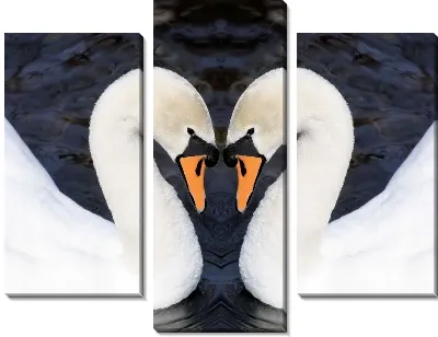 Модульная картина Лебеди (Swans) №9