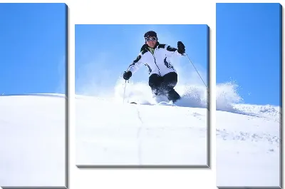 Модульная картина Лыжный спорт (Skiing)