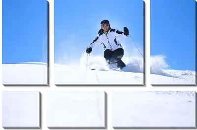 Модульная картина Лыжный спорт (Skiing)