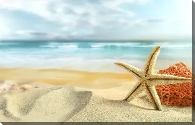 Постер Пляж (Beach) №21
