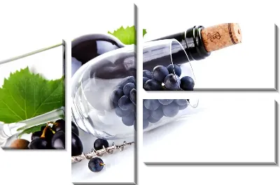 Модульная картина Вино (Wine) №7