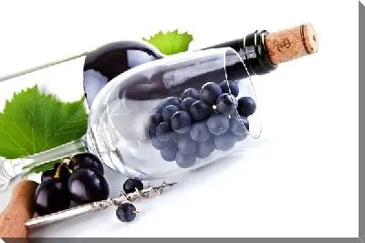 Постер Вино (Wine) №7