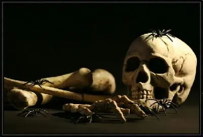 Картина Череп (Skull) №3