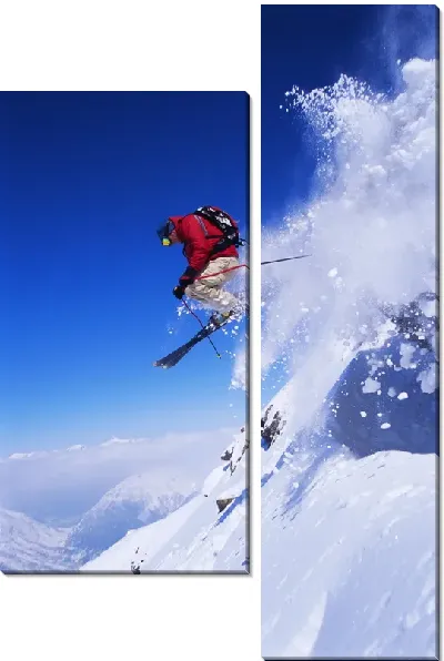 Модульная картина Лыжный спорт (Skiing) №2