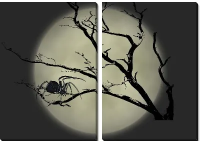 Модульная картина Паук (Spider) №3