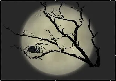 Паук (Spider) №3