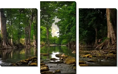 Модульная картина Лес (Forest) №48