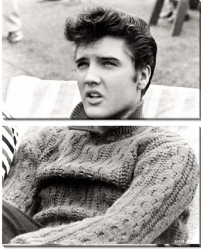 Модульная картина Элвис Пресли (Elvis Presley) №4