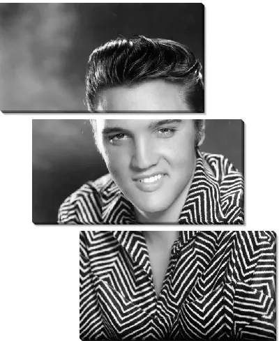 Модульная картина Элвис Пресли (Elvis Presley) №5
