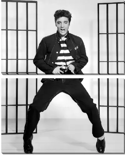 Модульная картина Элвис Пресли (Elvis Presley) №7