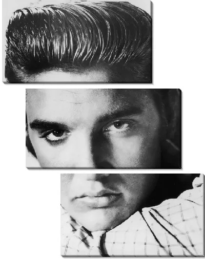 Модульная картина Элвис Пресли (Elvis Presley) №8