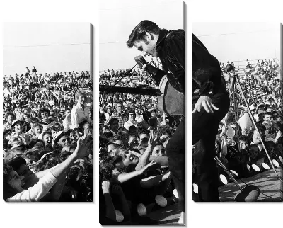 Модульная картина Элвис Пресли (Elvis Presley) №10