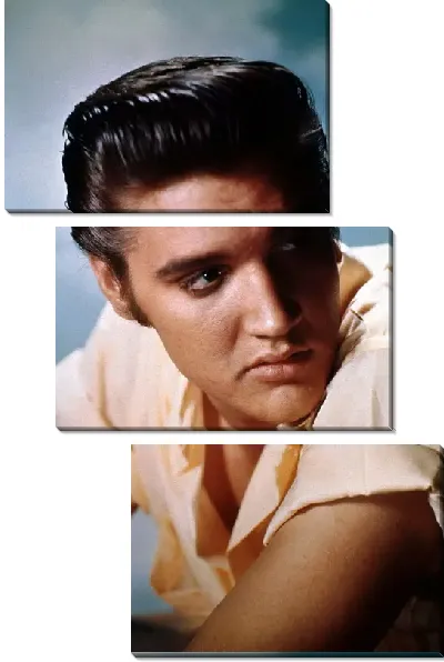 Модульная картина Элвис Пресли (Elvis Presley) №12