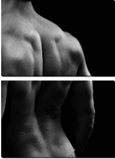 Модульная картина Фитнес (Fitness) №50