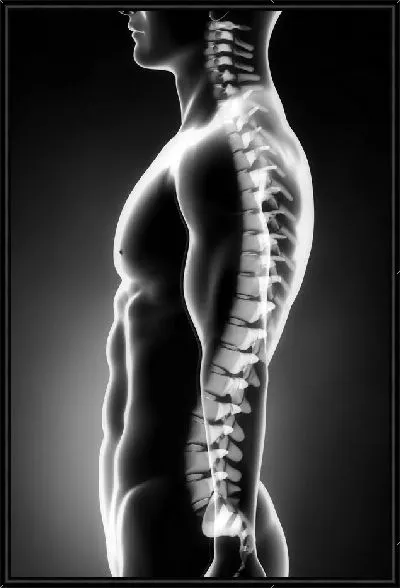 Картина Позвоночник (Spine)