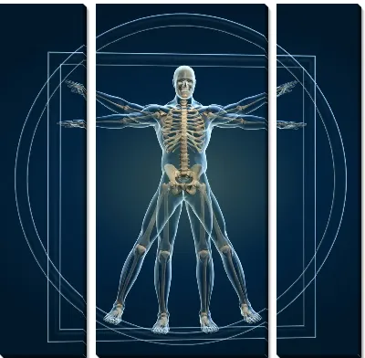 Медицина (Medicine) №8