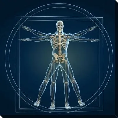 Медицина (Medicine) №8