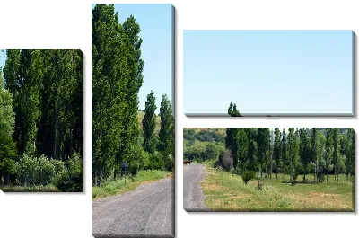 Модульная картина Дорога (Road) №21