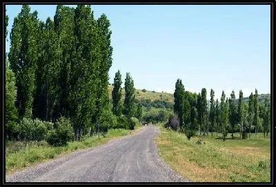 Дорога (Road) №21