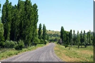 Дорога (Road) №21