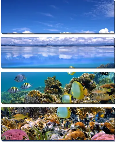 Модульная картина Океан (Ocean) №13