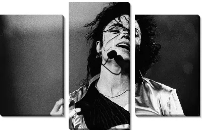 Модульная картина Майкл Джексон (Michael Jackson) №3