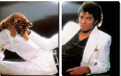 Модульная картина Майкл Джексон (Michael Jackson) №16