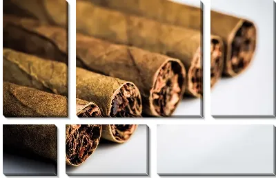 Модульная картина Сигары (Cigars) №2