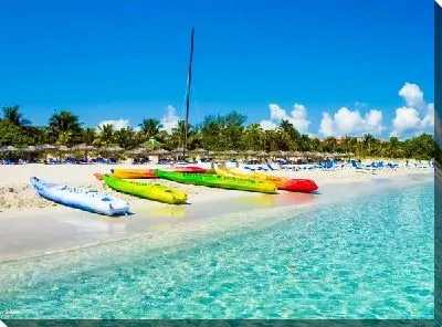 Постер Пляж (Beach) №24