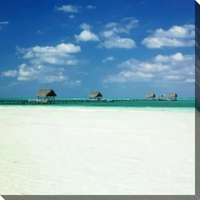 Постер Пляж (Beach) №25