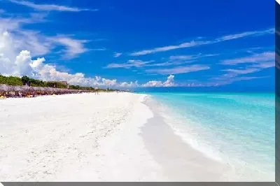 Постер Пляж (Beach) №26