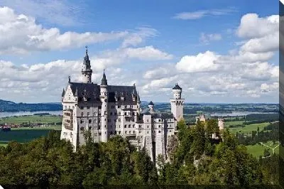 Постер Замок (Castle) №5