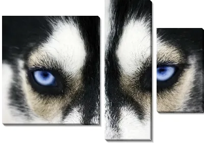 Модульная картина Собака (Dog) №13