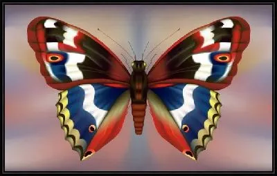 Картина Бабочка (Butterfly) №12