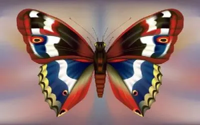Плакат Бабочка (Butterfly) №12