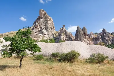 шаблон id 38