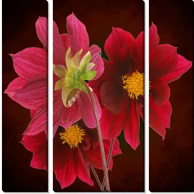 Модульная картина Букет красных цветов (Bouquet of red flowers)