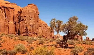 Плакат Пустыня (Desert) №4